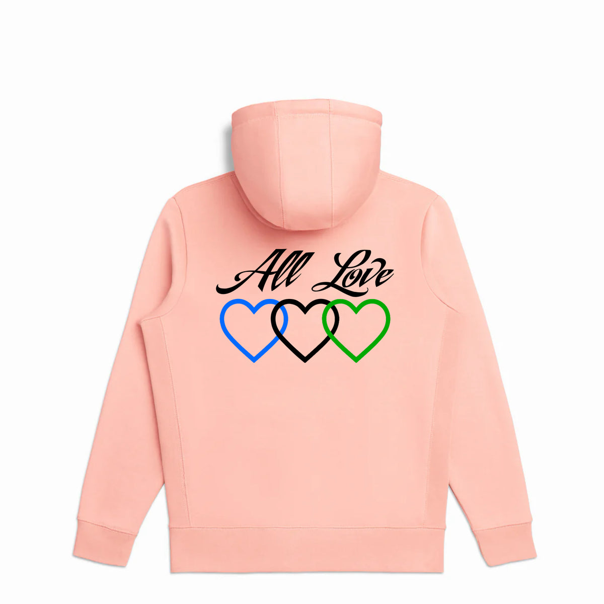 Salmon Home Team hoodie back